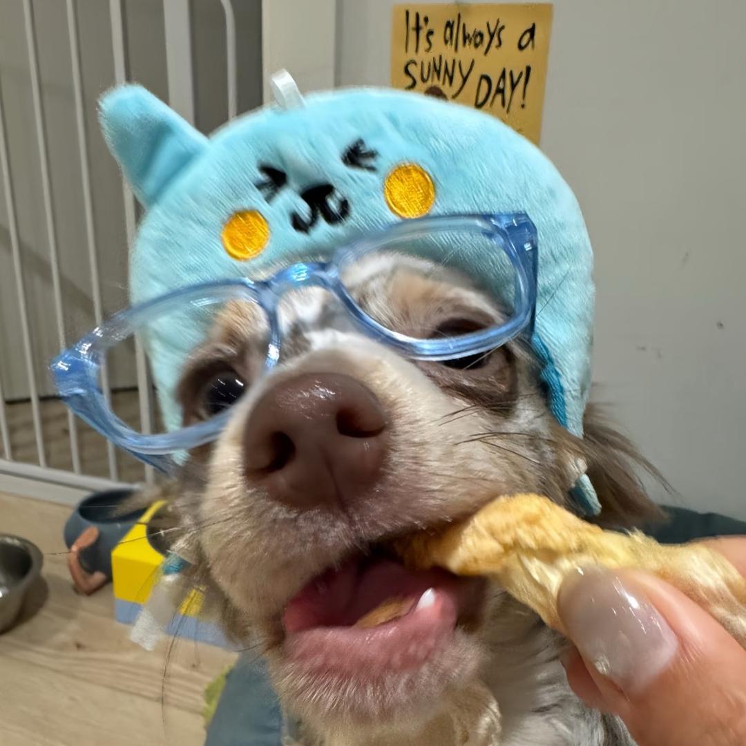不想睁眼