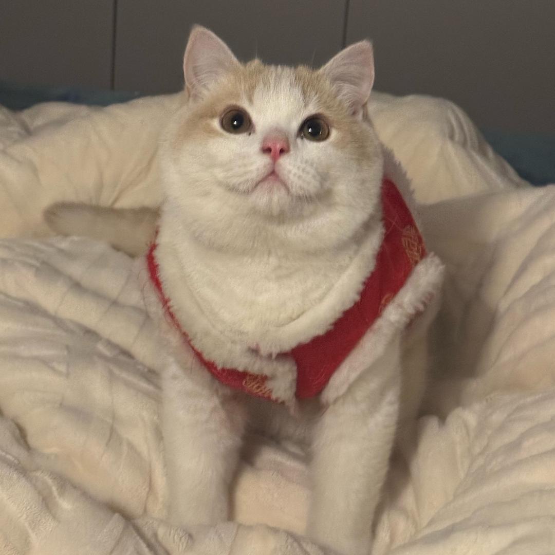 来福来財