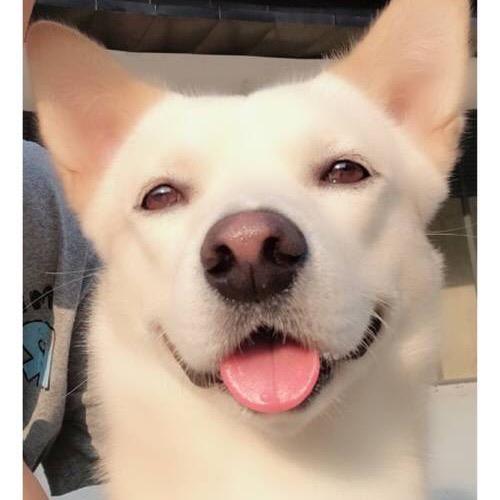 罗丢丢