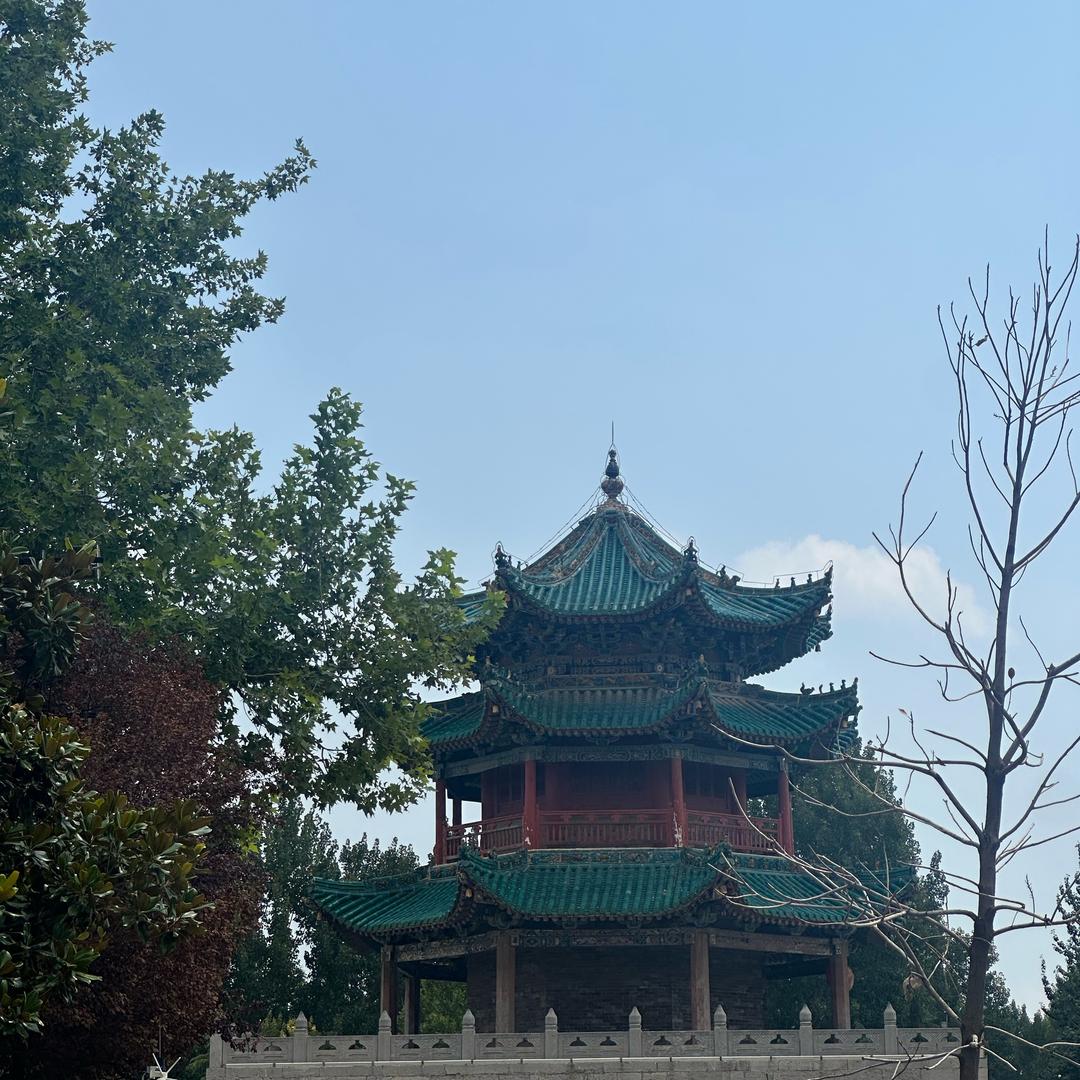 农村老表讲植物