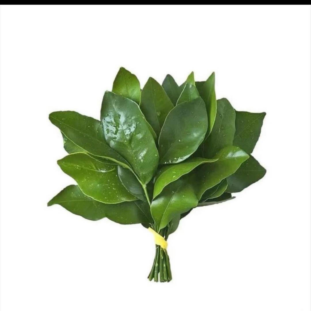 小王不吃红果🚗