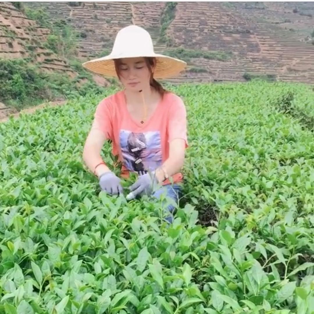 英子生活汇