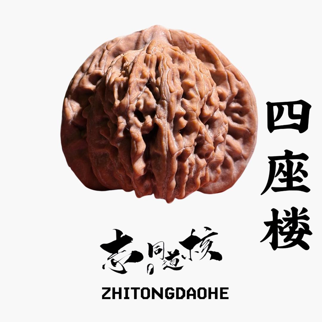 志同道核-大骐文玩