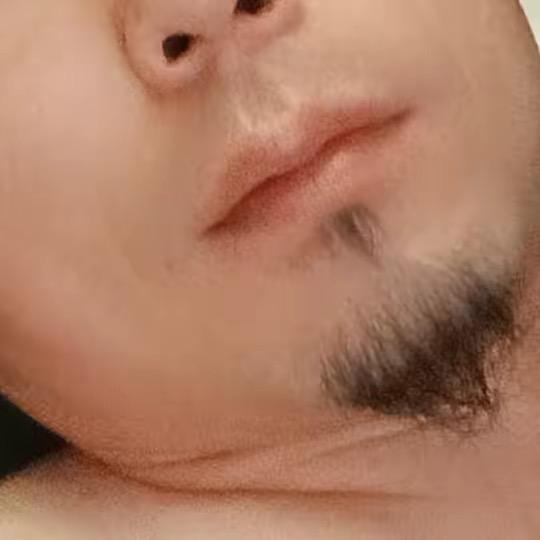 理念的世界