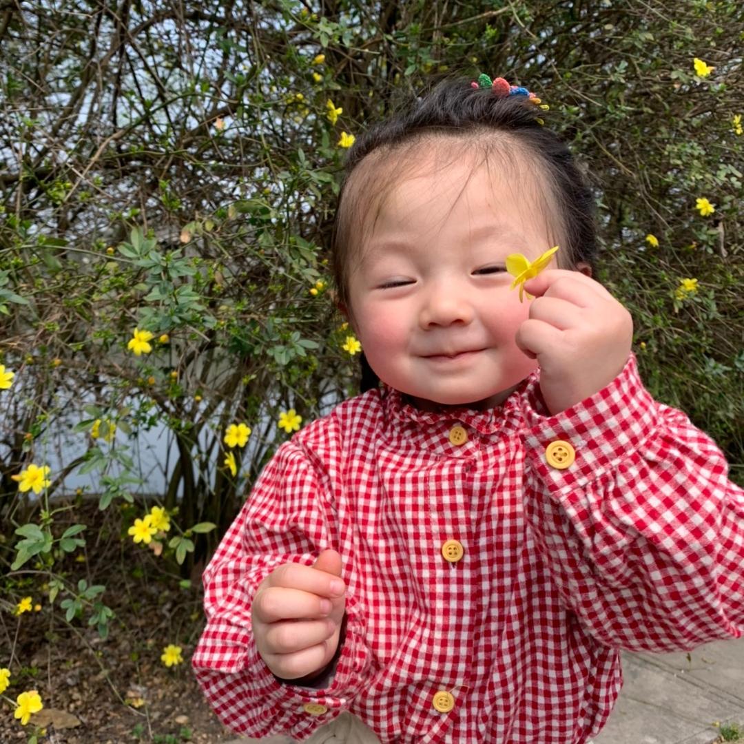 爱学中医的大米