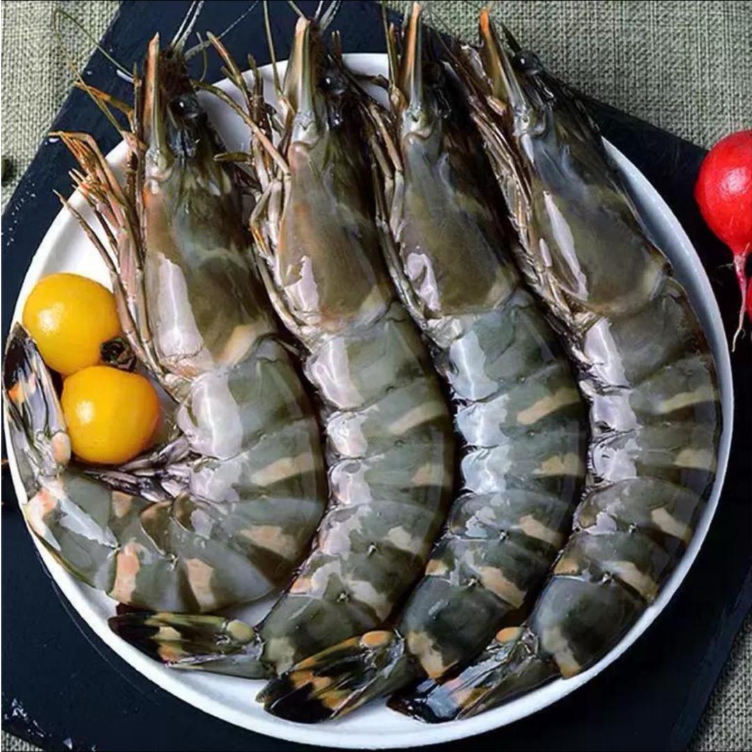金泰海鲜甄选