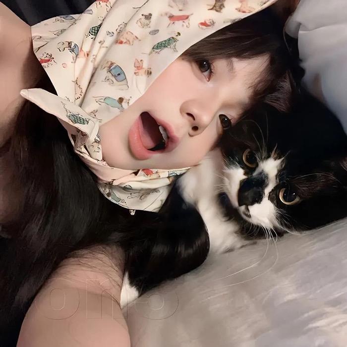 宝