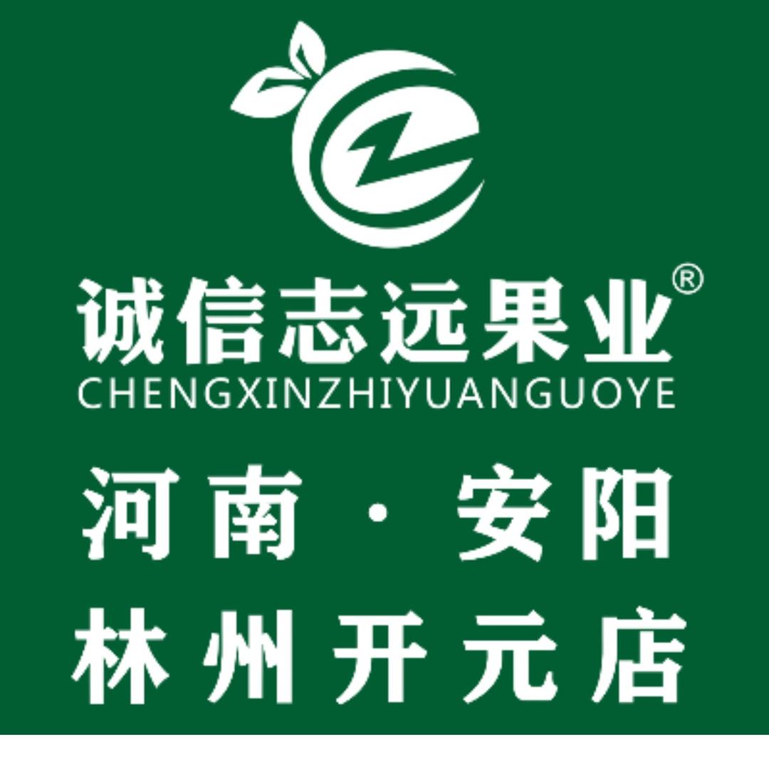 诚信志远开元店