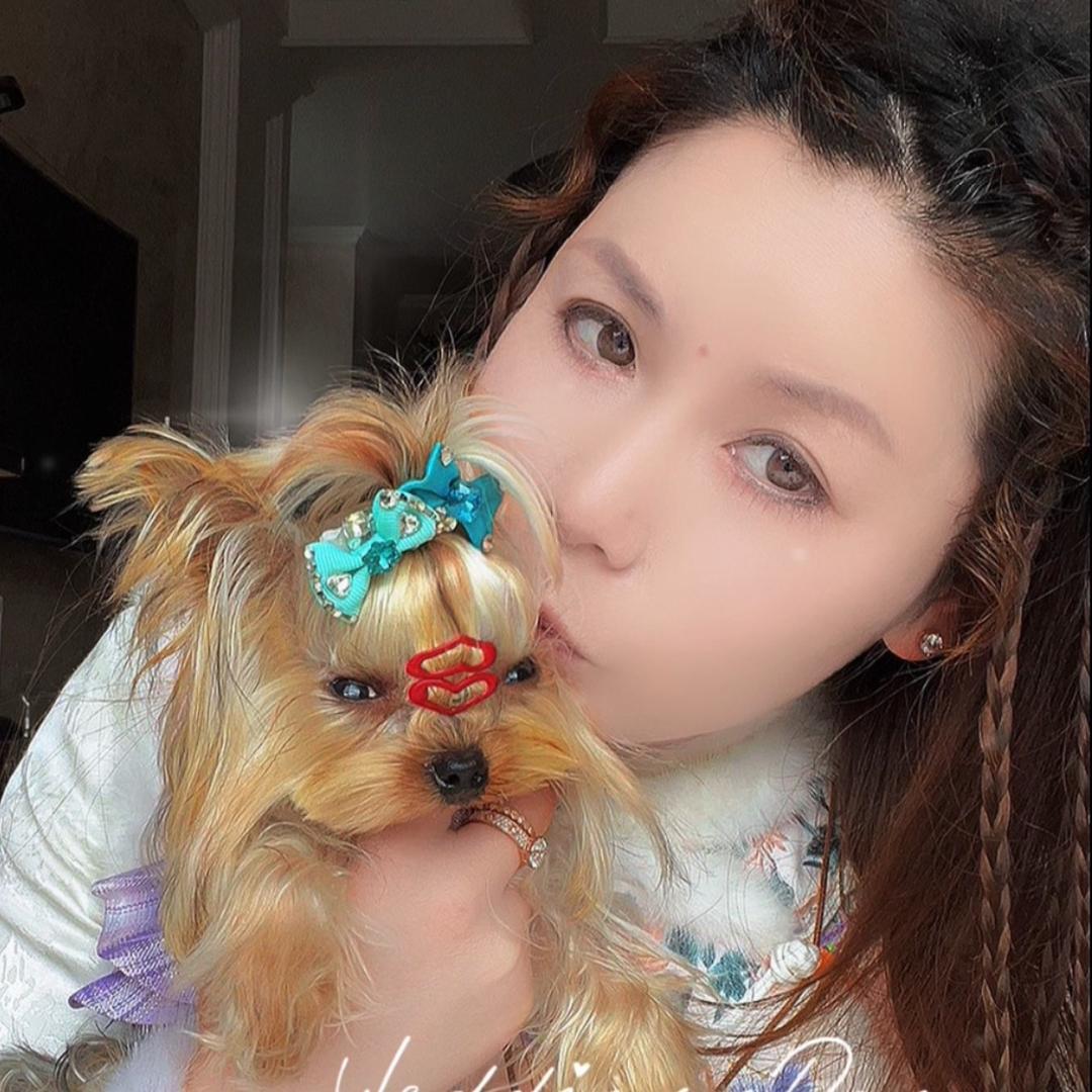 糖宝家的小金约