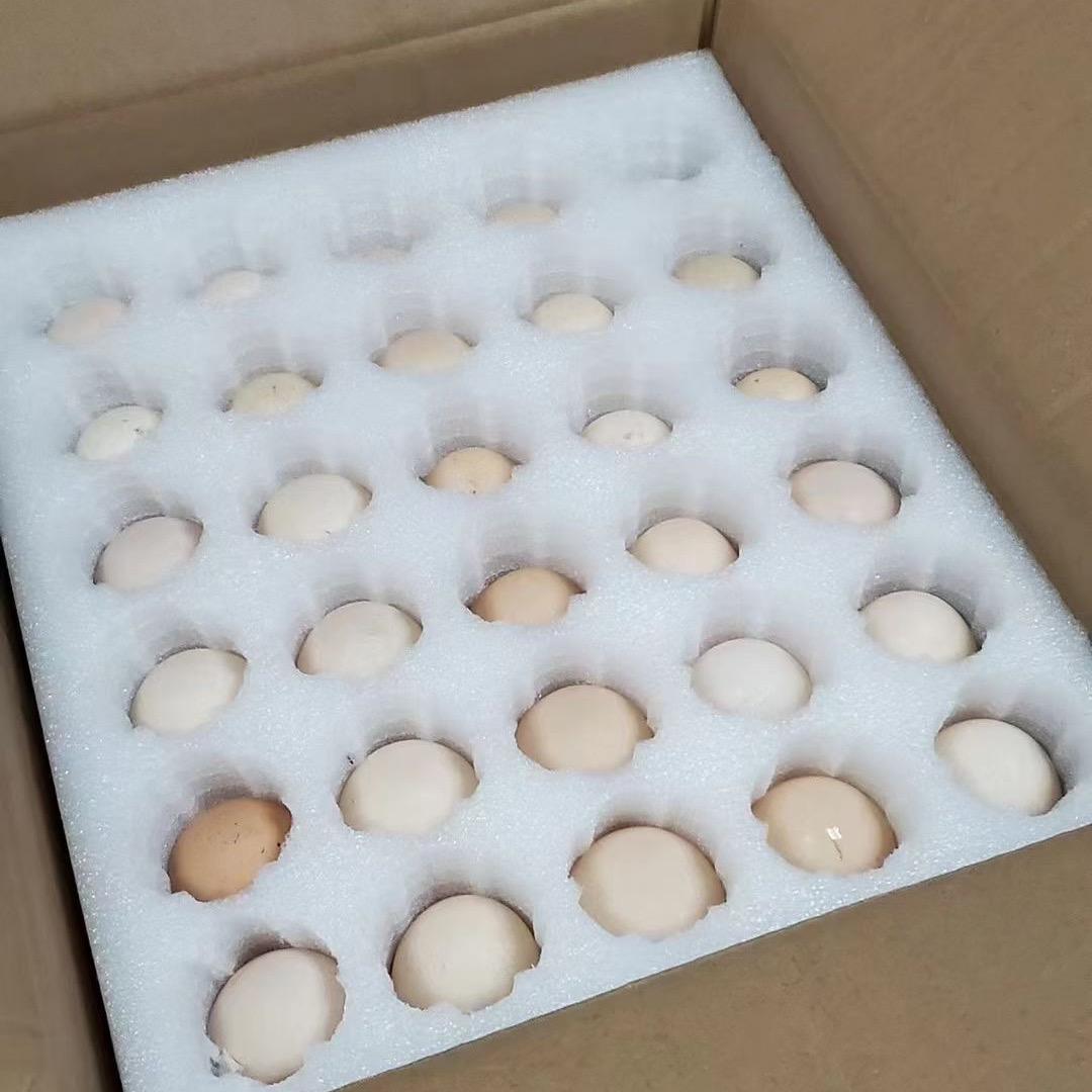 晟腾环保包装材料