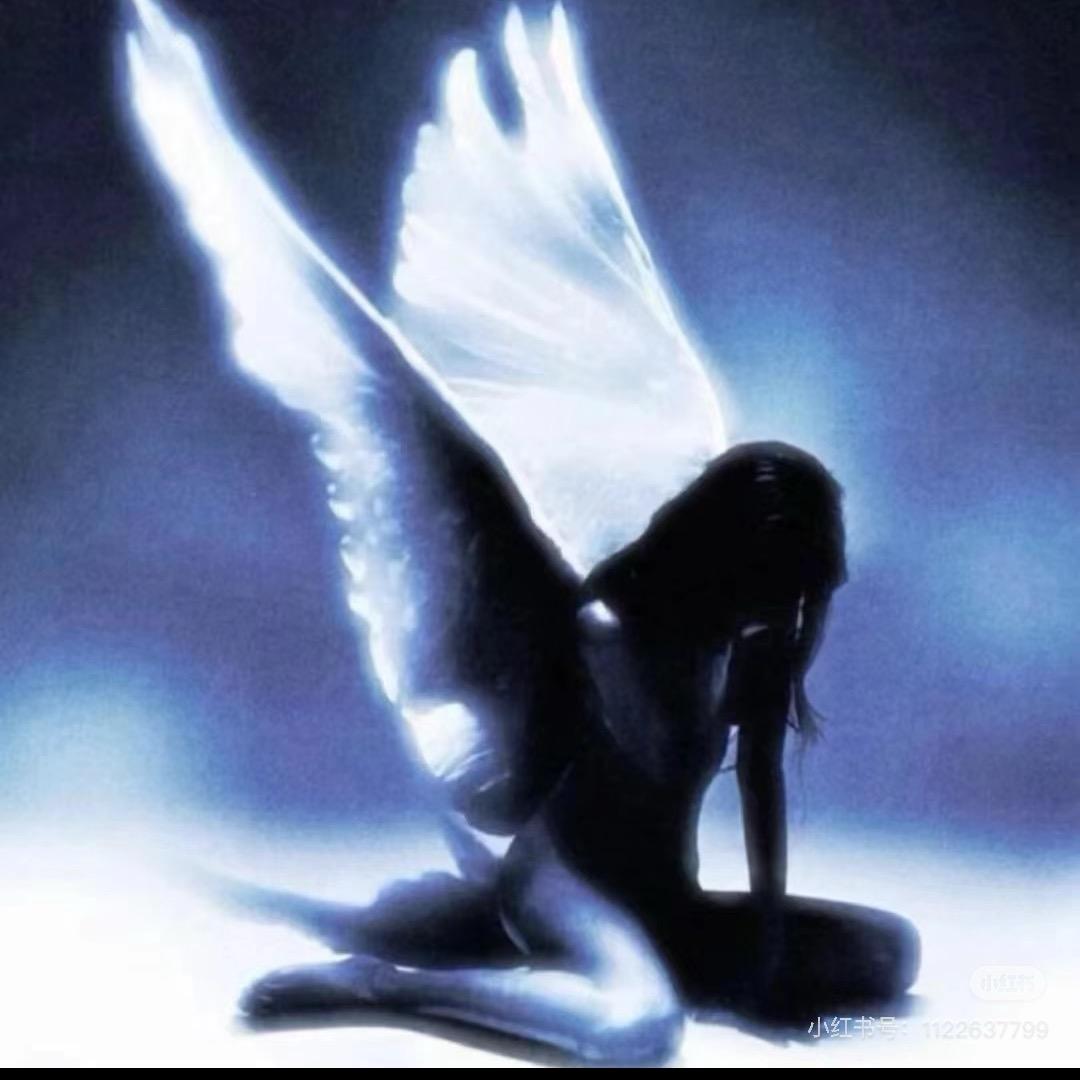 .🦋.