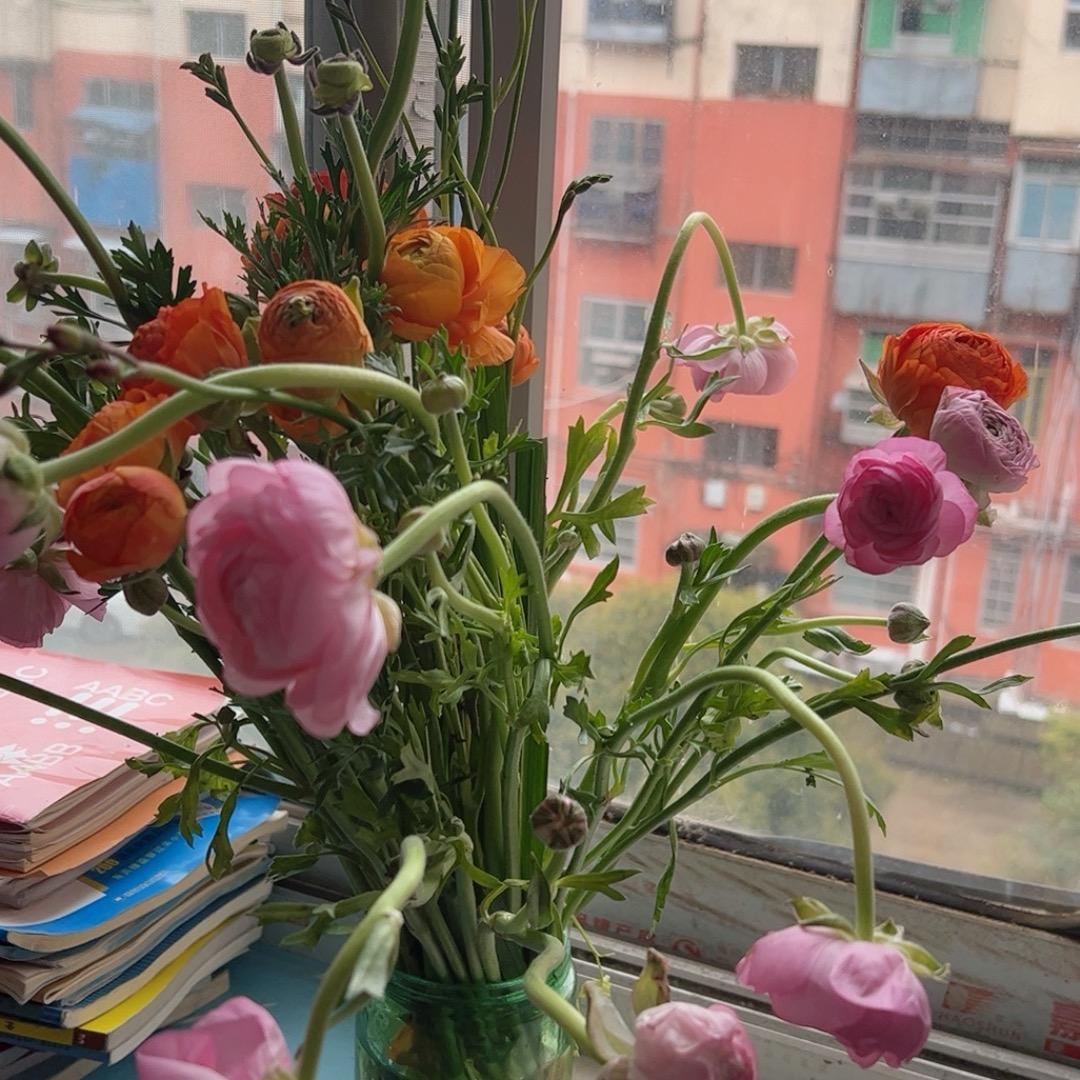 想念❤️🌹🌹🌹🌹