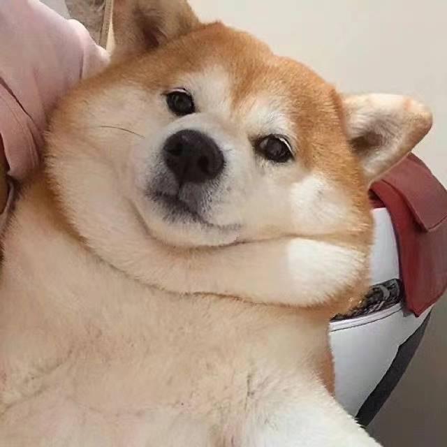 大狗子📷