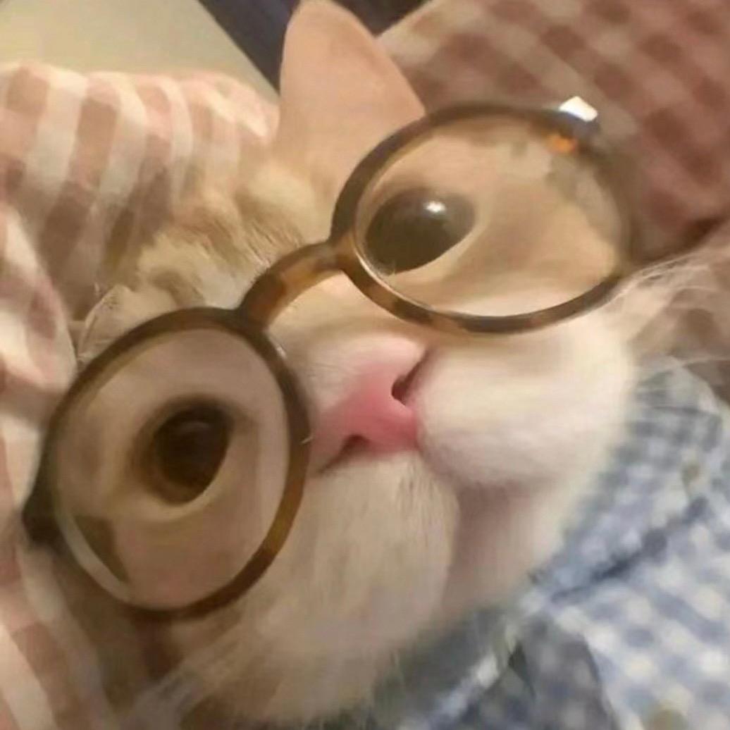 猫me来喽