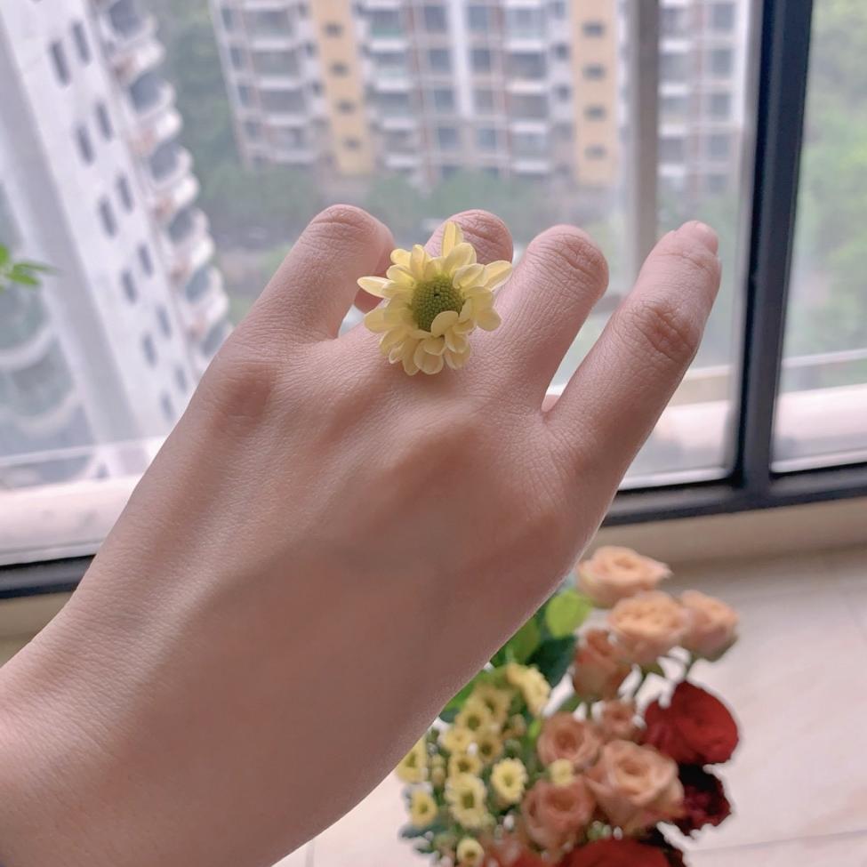 紫府楠木缘威商行