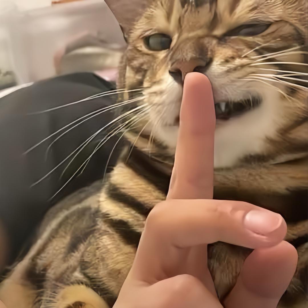月初