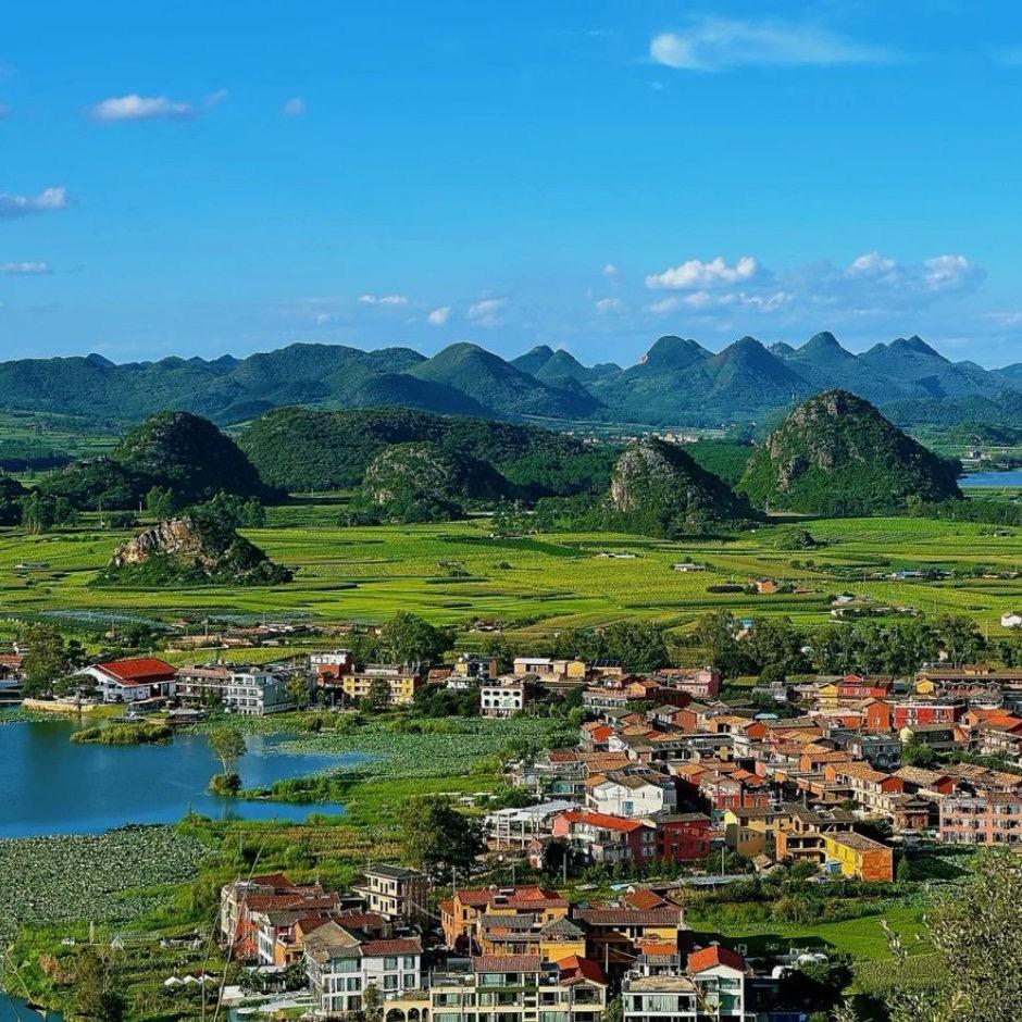 小白
