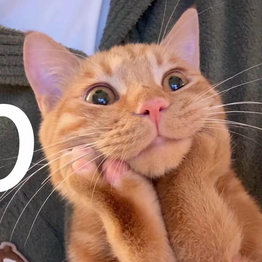 东北葫芦娃大娃