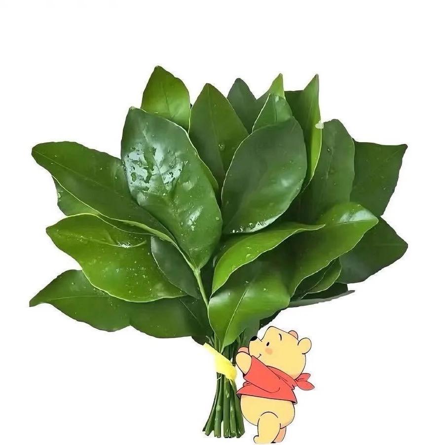 雾