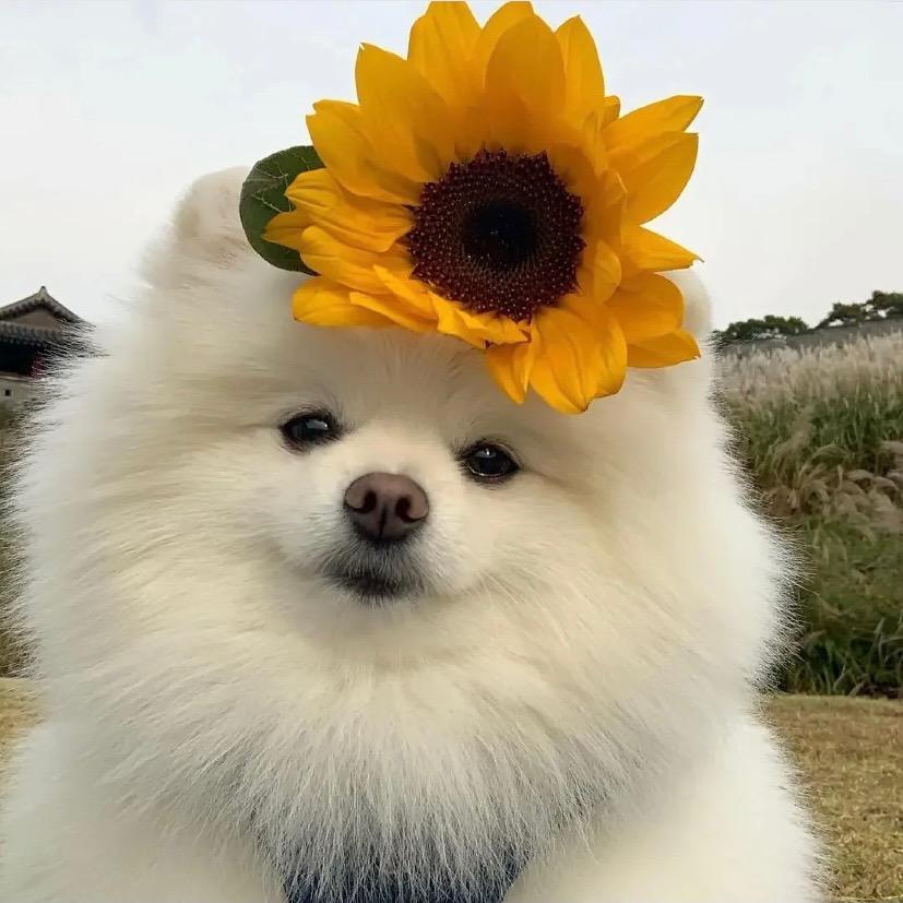 兔儿神～