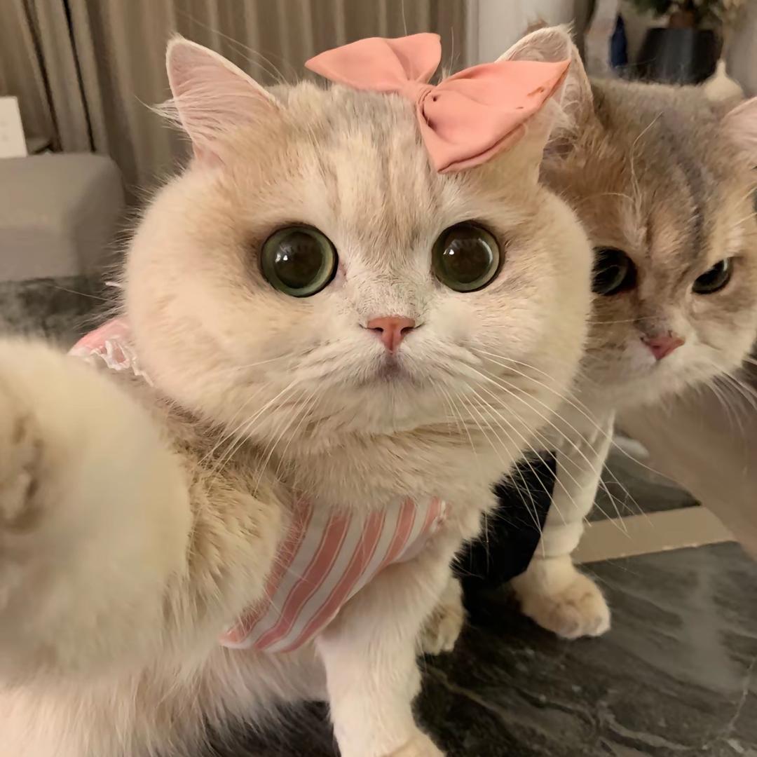 瑋7
