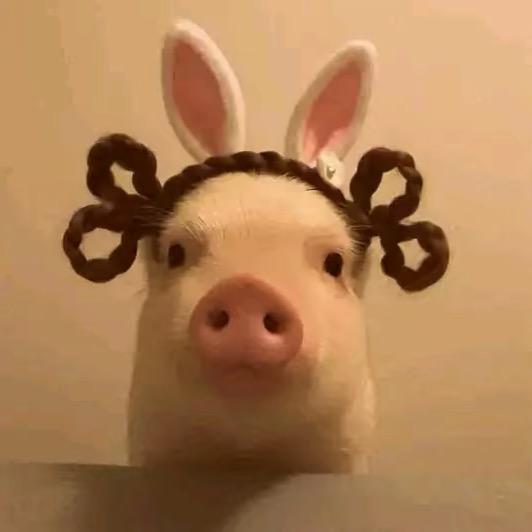 ㅤㅤㅤㅤ活着别让心遭罪