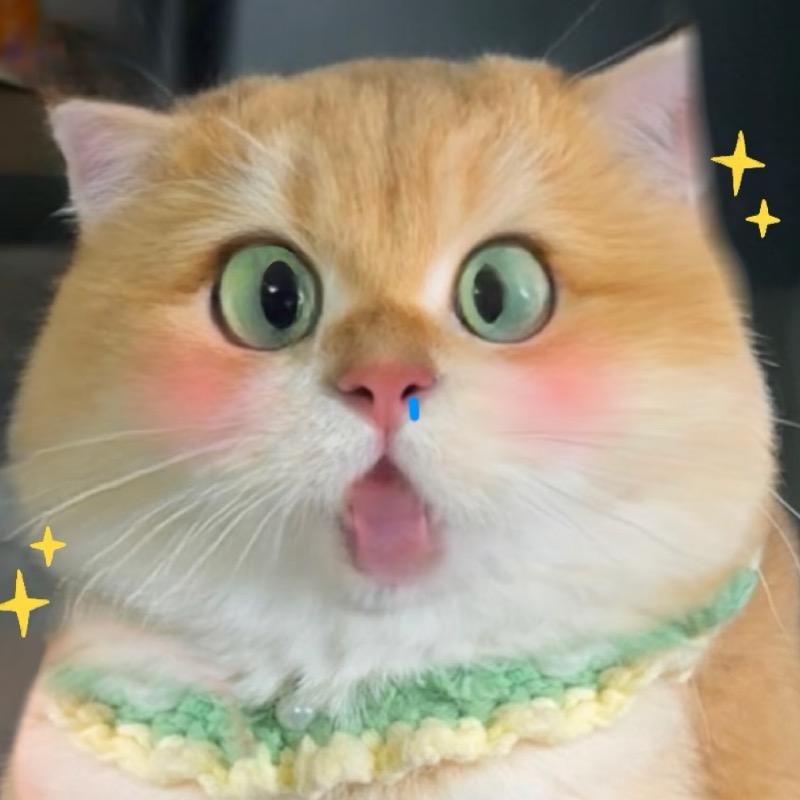 哈哈哈哈哈呵呵