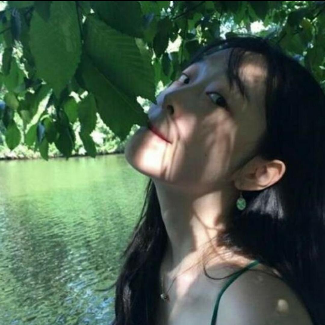 小猫饼