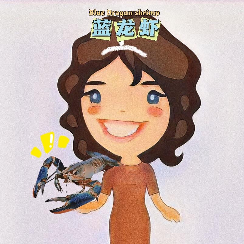 华姐卖蓝龙🦞（澳洲淡水蓝龙虾）