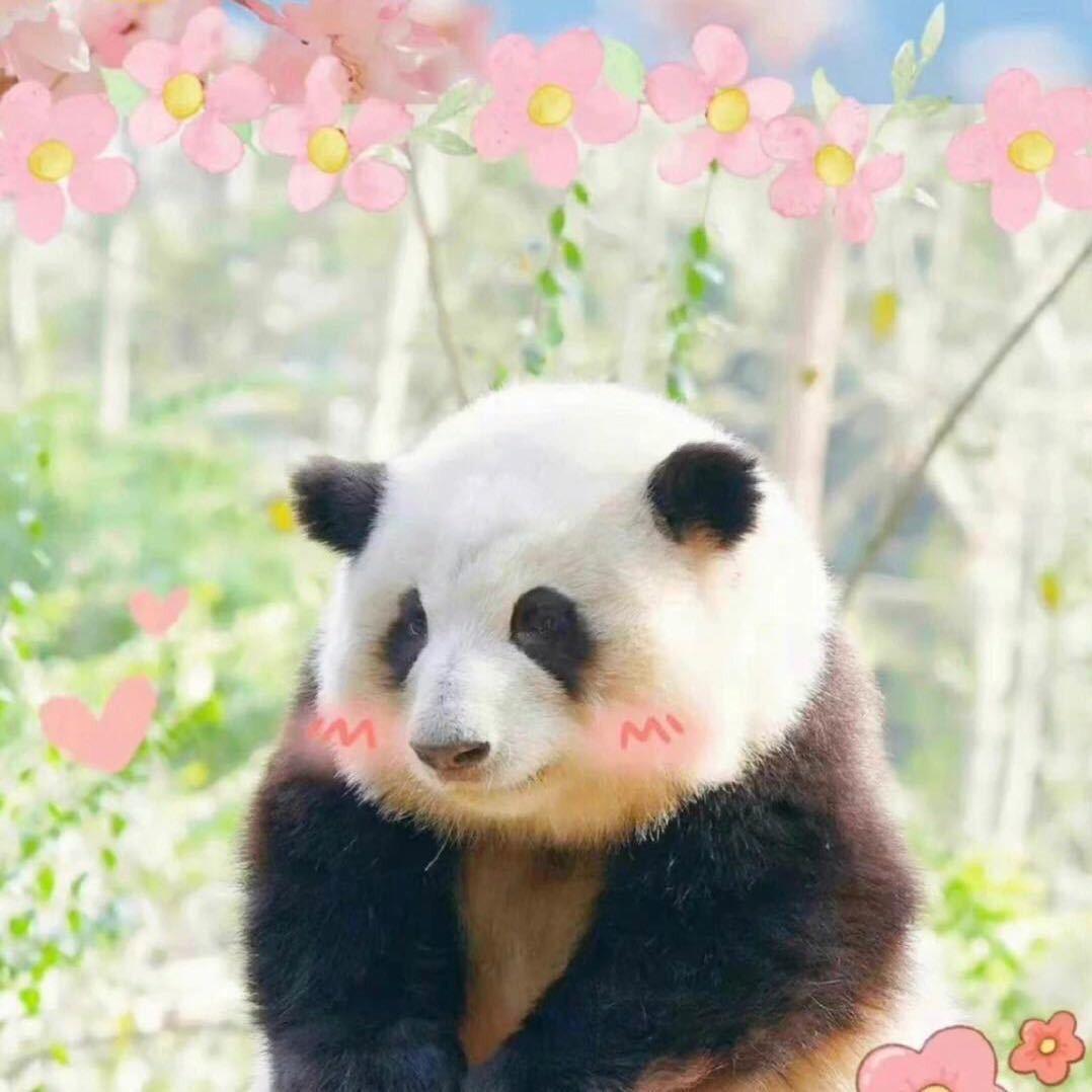 你的英语郭老师