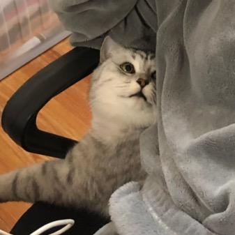 李千万