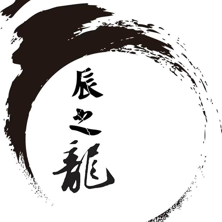 辰之龙电商