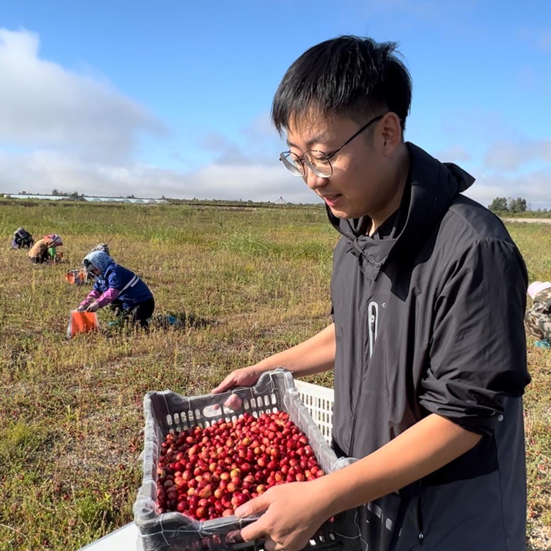 宋小胖蔓越莓鲜果