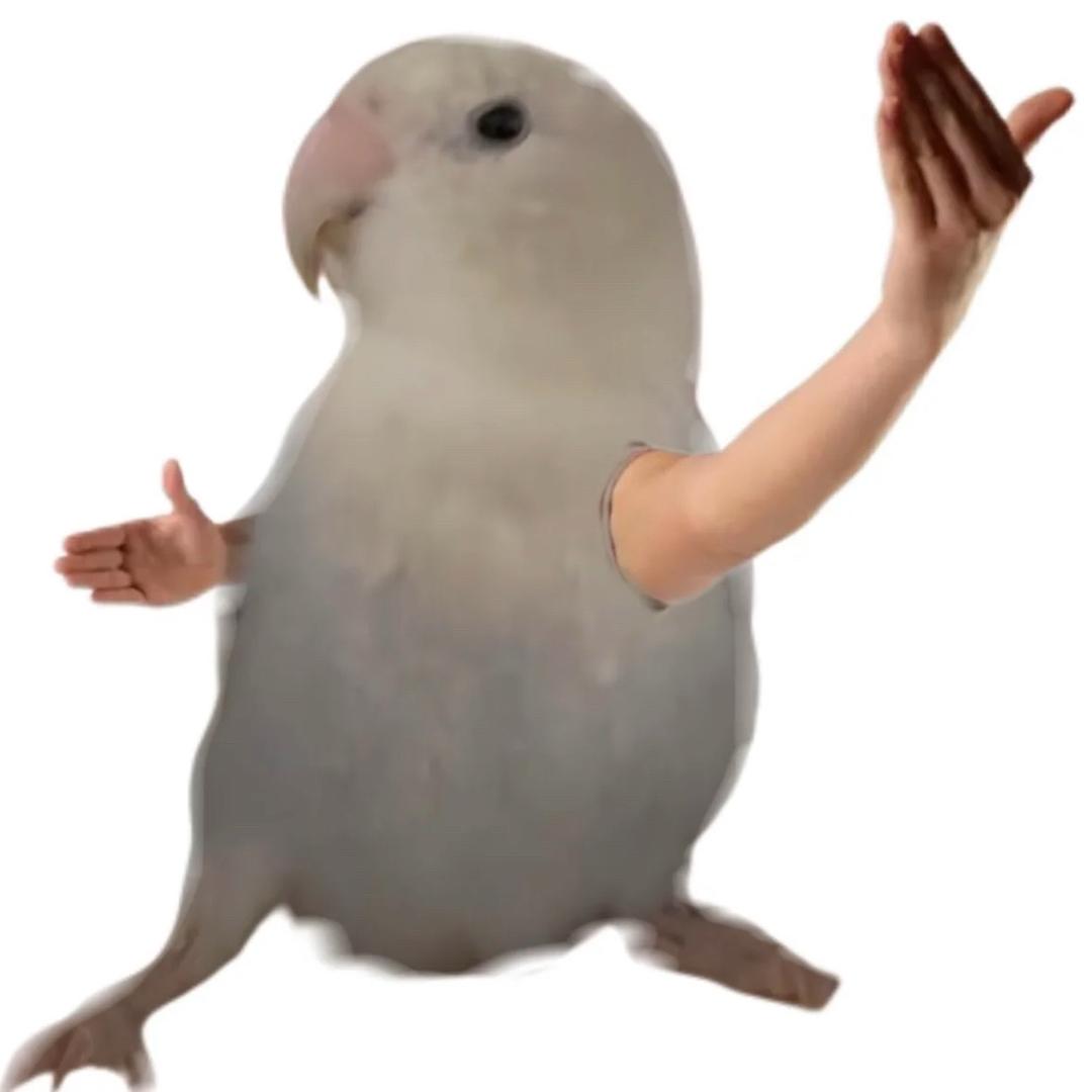 精卫KEE