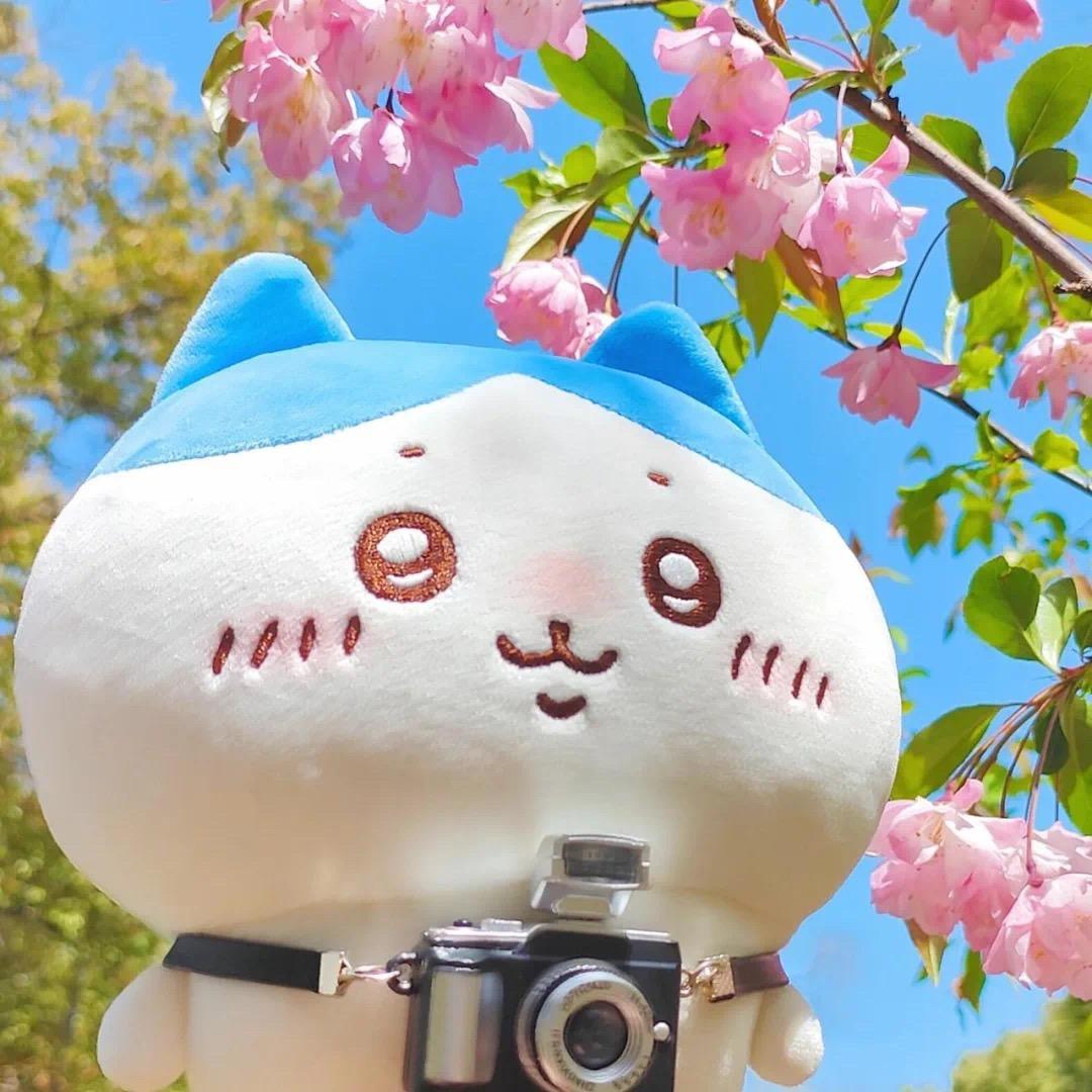 小廖小廖 出乎意料