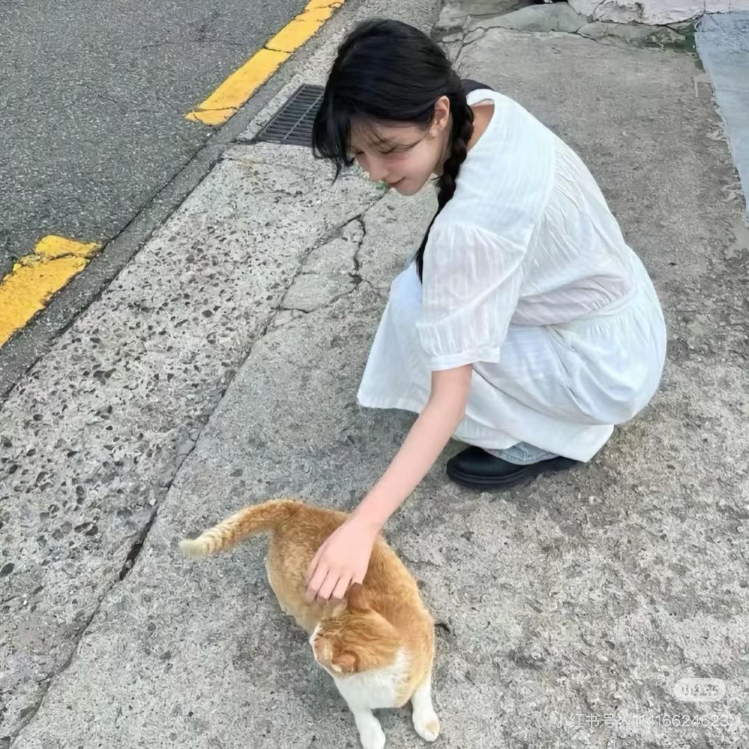 荟