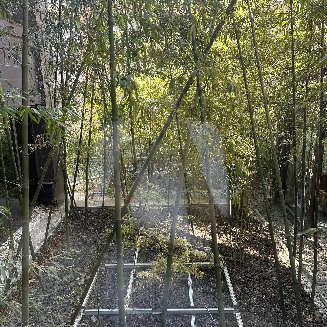 知行合一大智慧