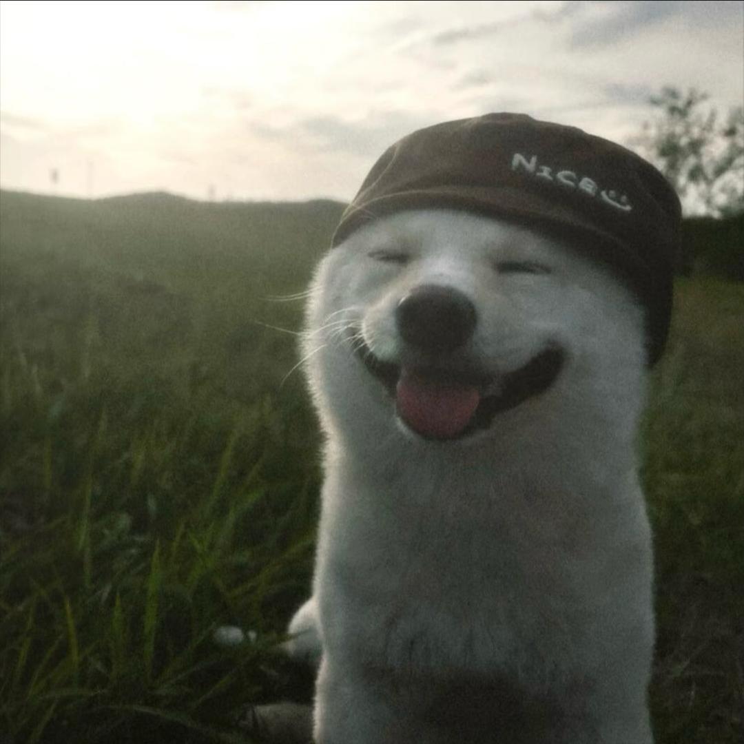 沈煜宸