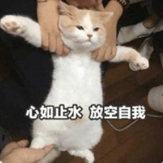 Zhi