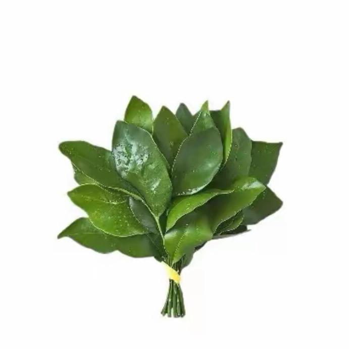 周大褔珠寶💎