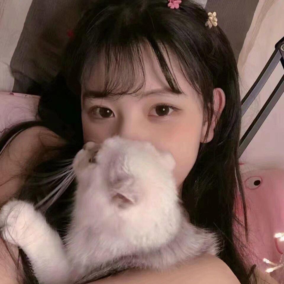 小绵羊🐑🐑🐑