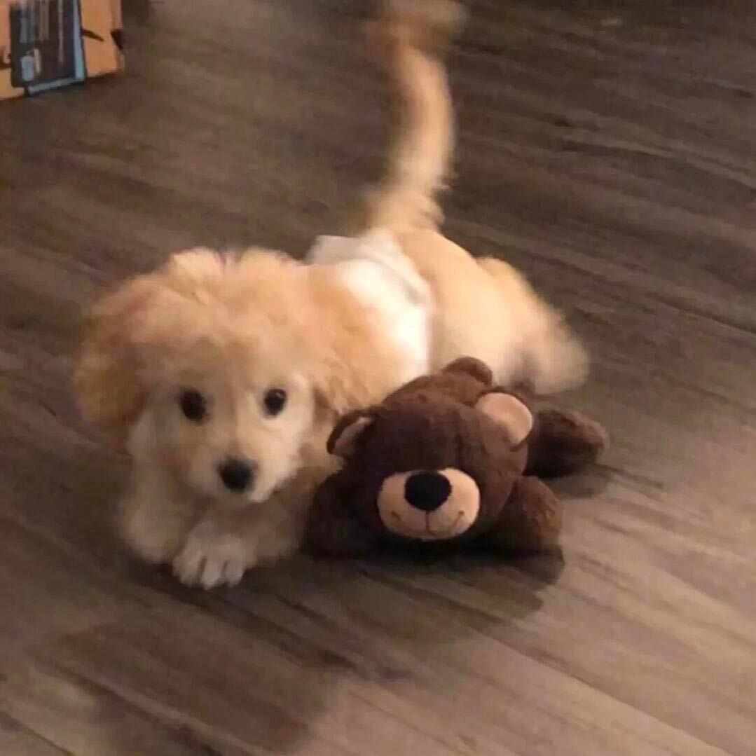 我总是不懂你的意思