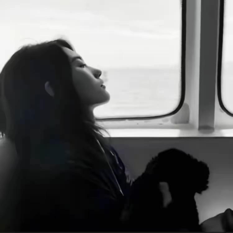 ㅤㅤ ㅤㅤㅤㅤ ㅤㅤㅤ等个晚安