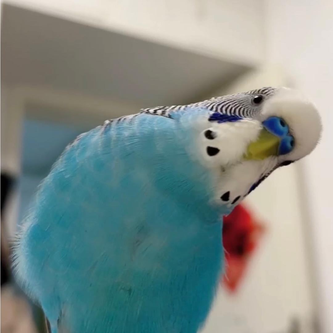奥，安