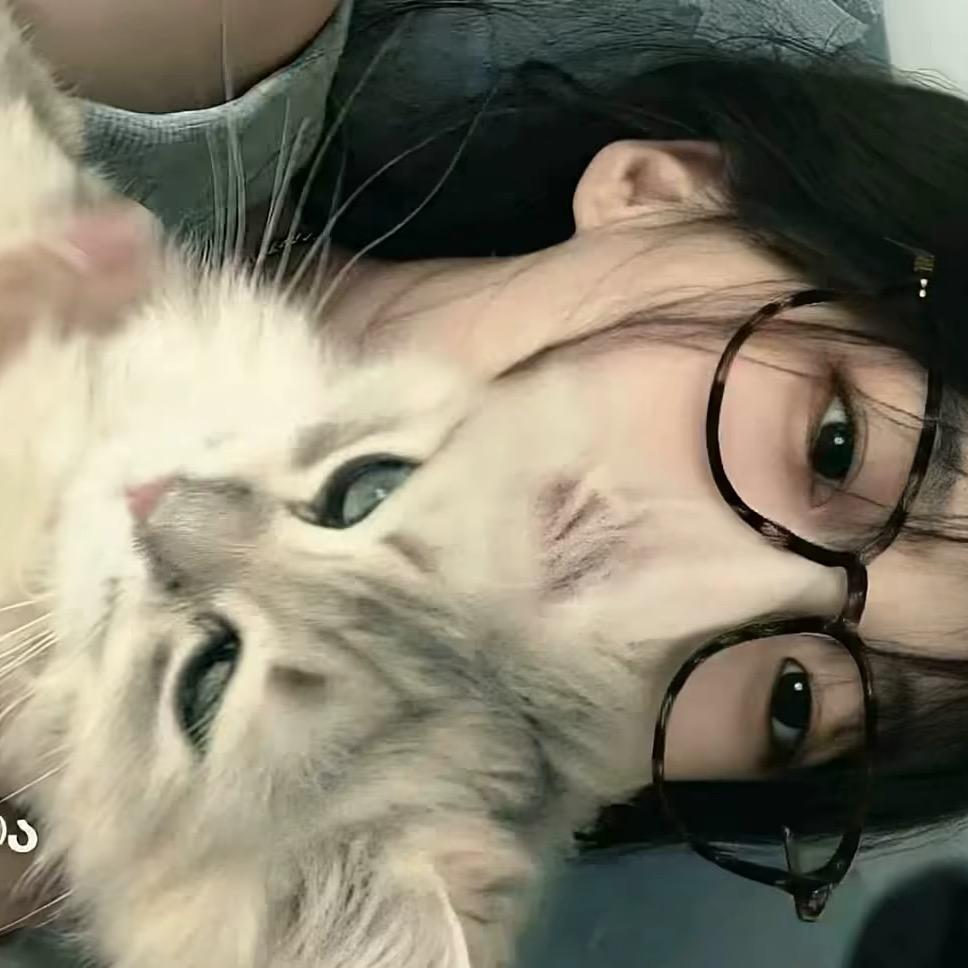 栀夏的笨猫