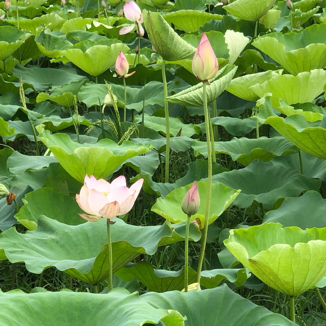 🌈裂缝中的光✨