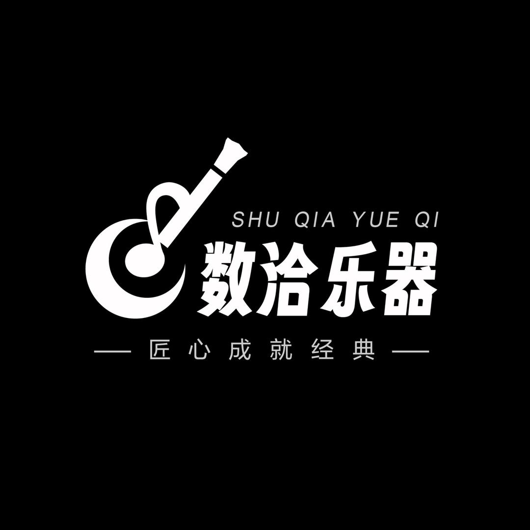 杭州数洽乐器