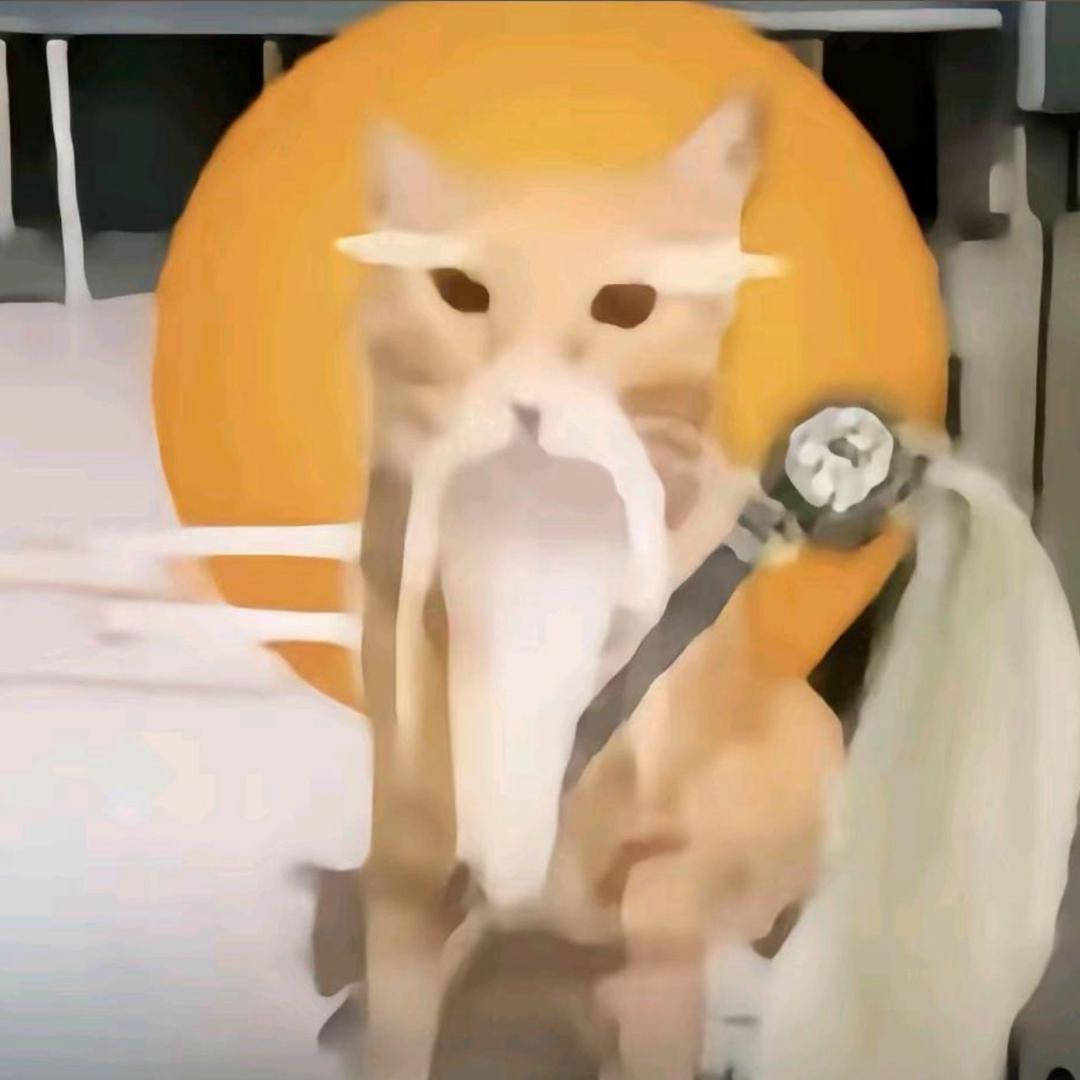 哈基仙人