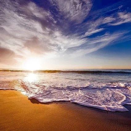 ☘️Cindy✨ ོ ོ