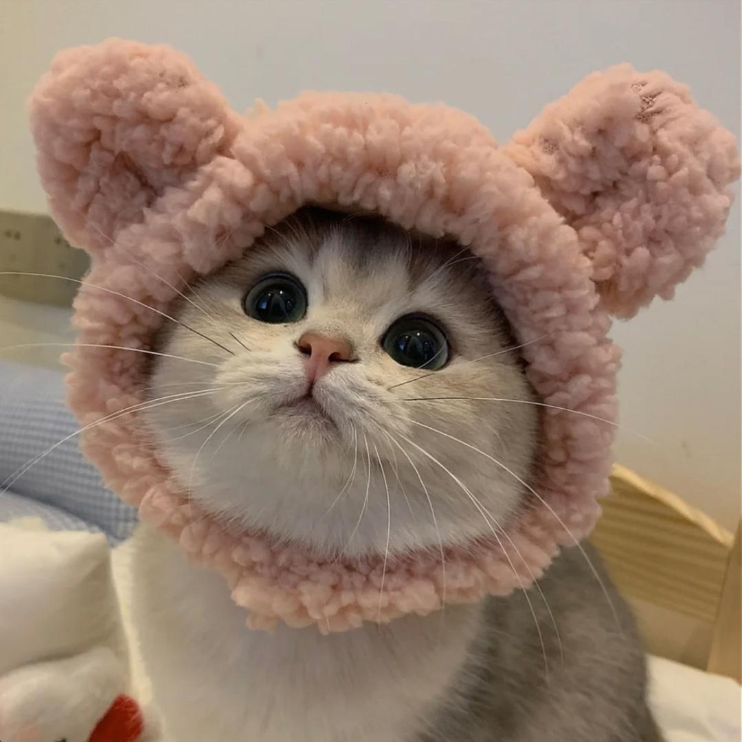 陈少玲🧸